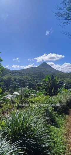 Spacious Plot of Land for Sale in Chamarel , 5,563m² with Stunning Views.