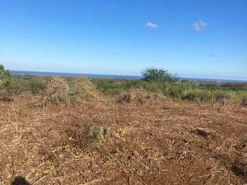 Land