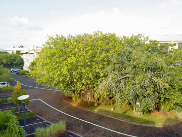 3 Bedroom Townhouse, Duplex