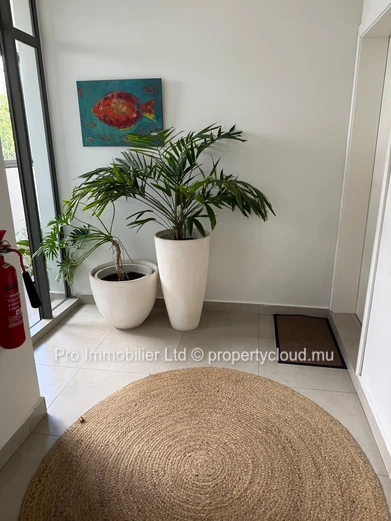 Nice Beachfront Apartment for Rent at Roches Noires.