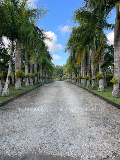 Stunning and exclusive fully furnished villa for Sale, set on a breathtaking 12,800m² landscape, ideally located in t...