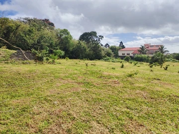 Terrain