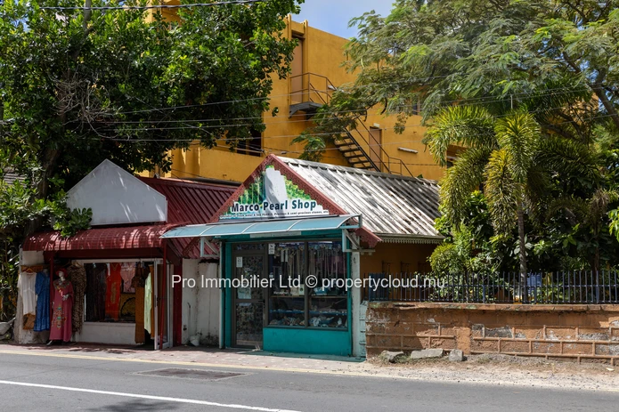 Discover the allure of this charming and authentic house ,apartments and commercials unit  for sale in the heart of G...