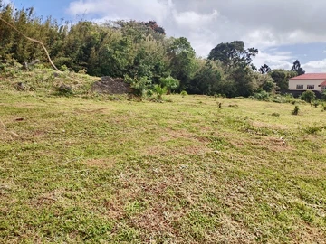 Terrain