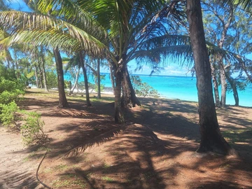 Residential Land