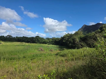Terrain Résidentiel