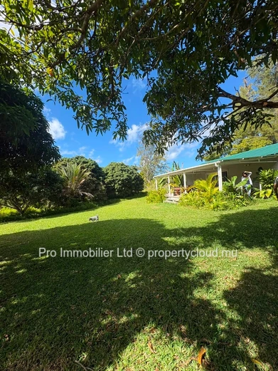 Charming Cozy House for Sale in Chamarel.