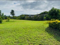 Terrain