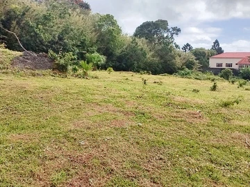 Terrain