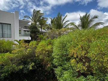 3 Bedroom Townhouse, Duplex