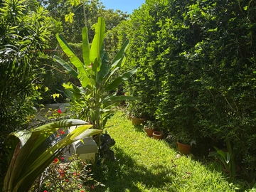 4 Bedroom Townhouse, Duplex