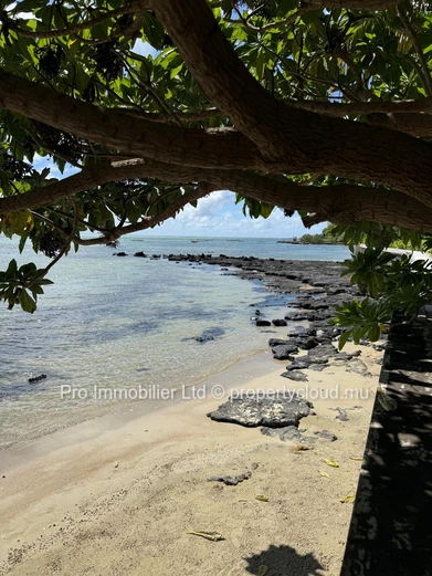 Nice Beachfront Apartment for Rent at Roches Noires.
