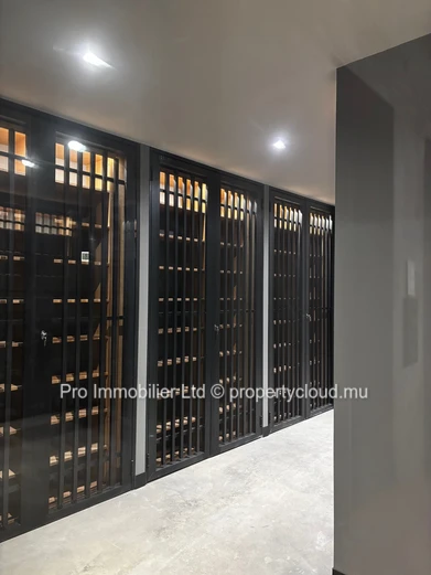 O Petit Parc , AN EXCEPTIONAL QUALITY OF LIFE ; PENTHOUSE FOR RENT.
