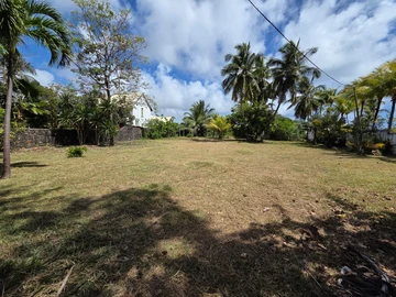 Land