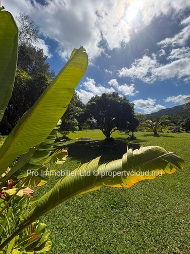 Charming Cozy House for Sale in Chamarel.