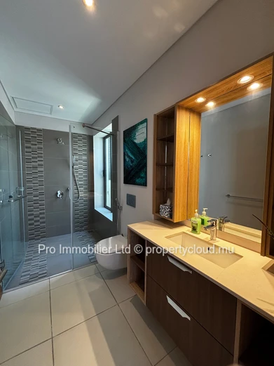Stunning Beachfront Furnished Penthouse for Rent at Belle Mare.
