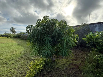 Land
