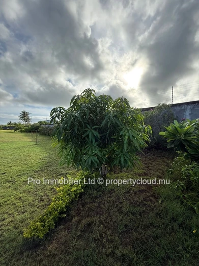 Two serviced plots of land located in Grand Gaude, in a highly sought-after and prestigious neighborhood.