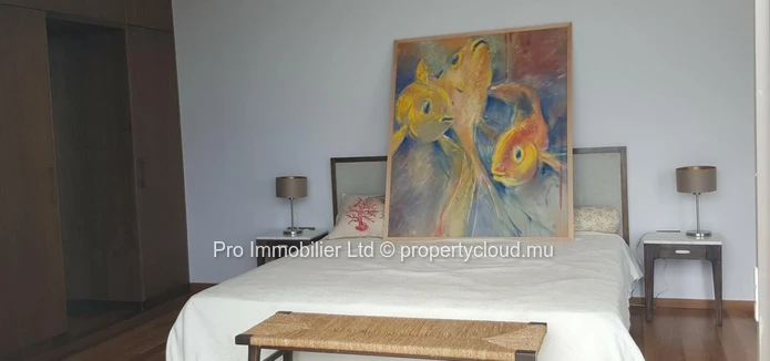 Stunning Seafront Penthouse for Sale in Roches Noires.