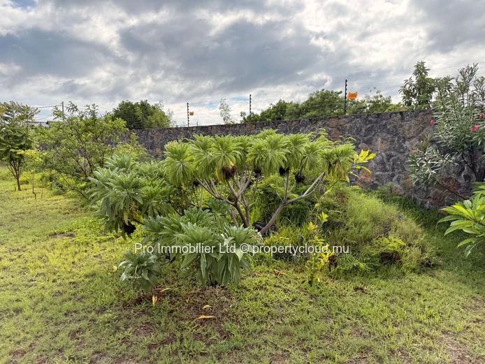 Two serviced plots of land located in Grand Gaude, in a highly sought-after and prestigious neighborhood.