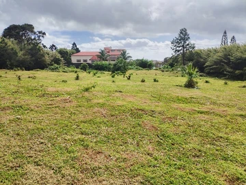 Terrain